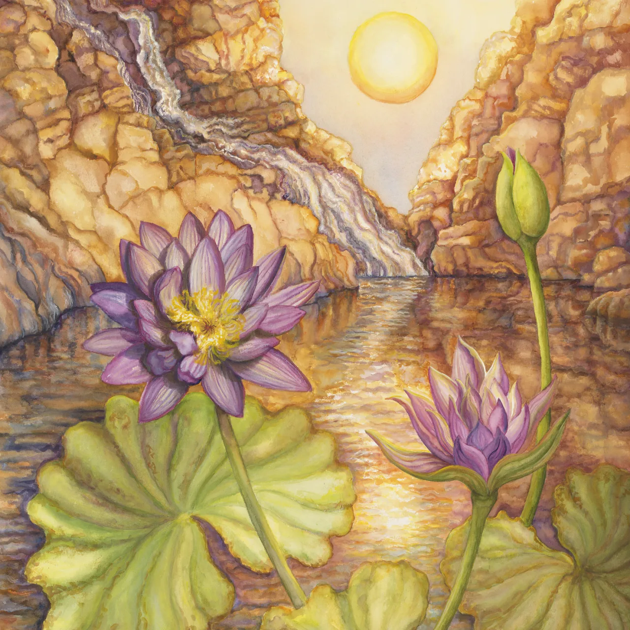 19: Waterlily of the Setting Sun