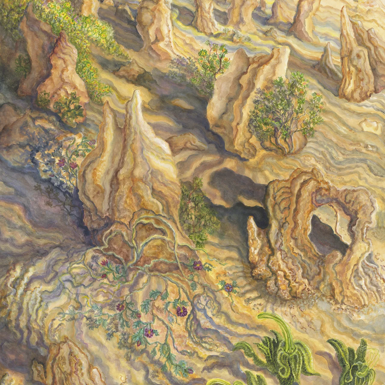 49A: Black Kangaroo Paws at the Ancient Pinnacles, Nambung National Park, Western Australia