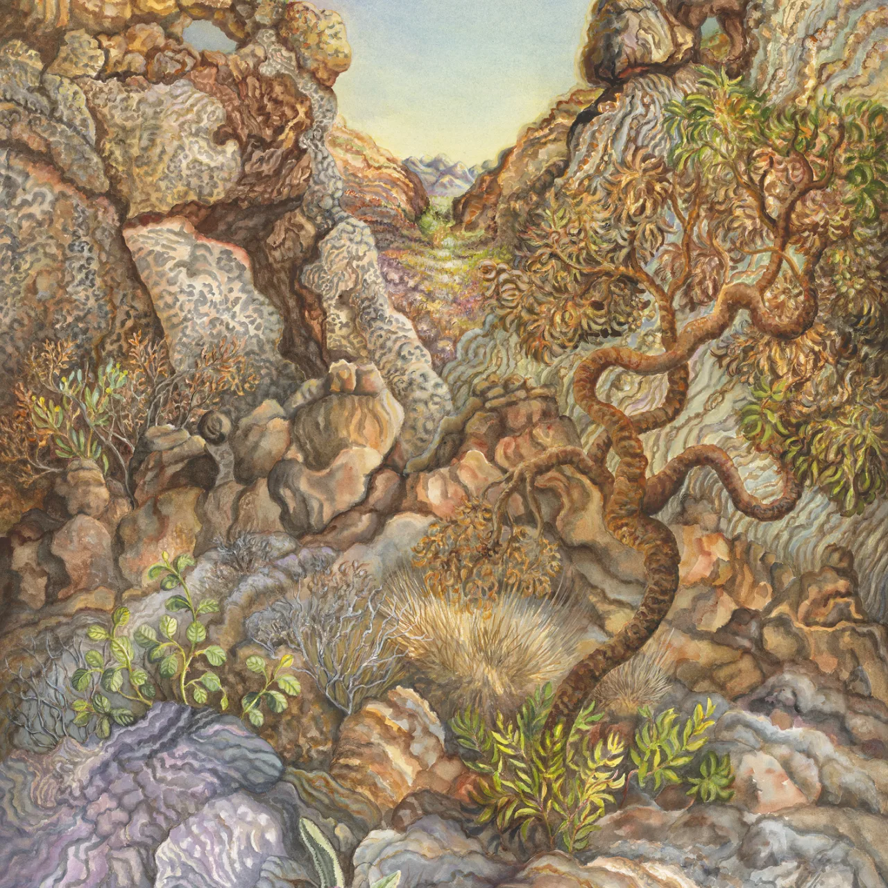 57: Ellery Quintet: A Year in the Life of a Desert Oasis. III—Survivors of Fire on the Ridges