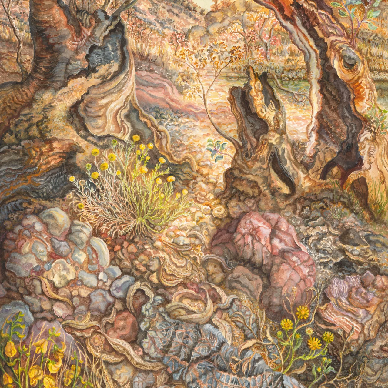 58: Ellery Quintet: A Year in the Life of a Desert Oasis. IV— After First Rains: New Life in the Creek Bed