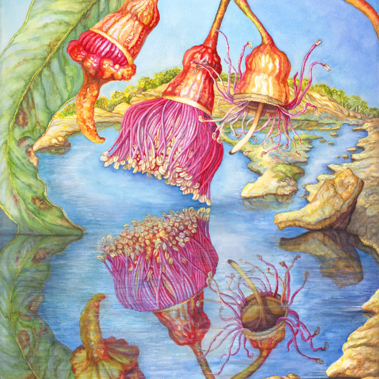 47: Reflections in a Granite Pool, Goldfields, Western Australia