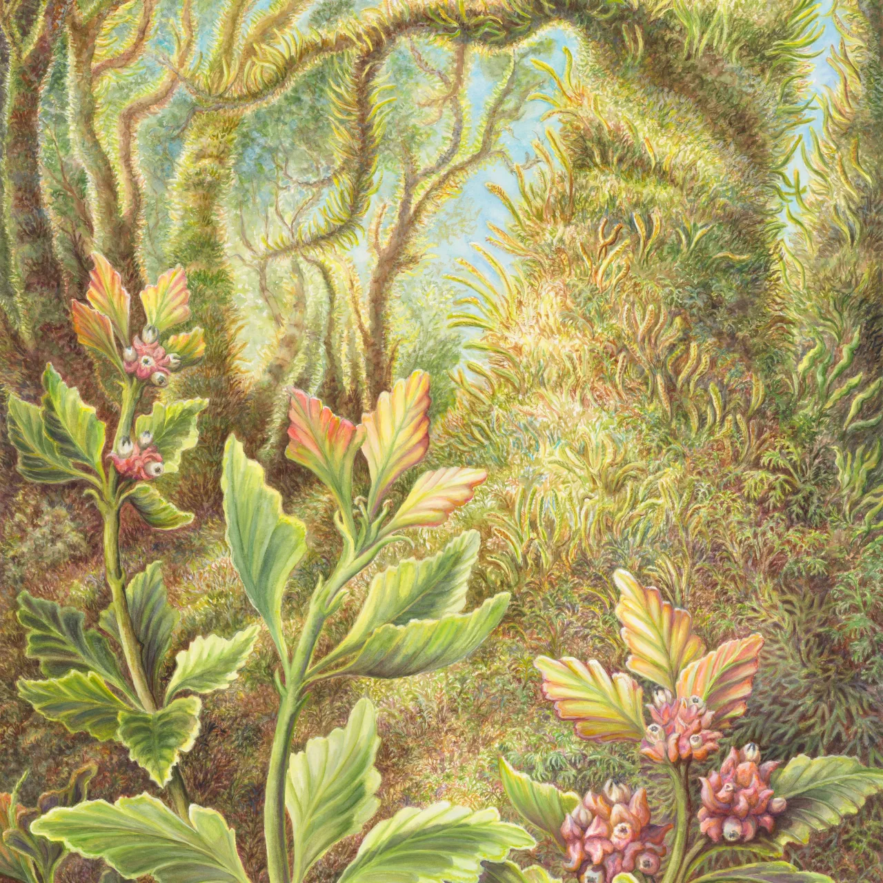 14: Outliving Most Dinosaurs: Tasmania's Celery-Top Pine