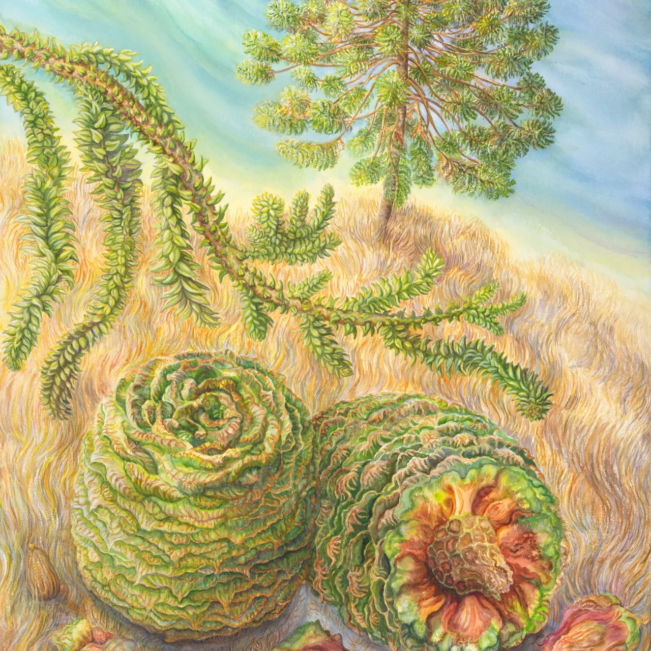 16: Spherical Silhouette, Fallen Feasts