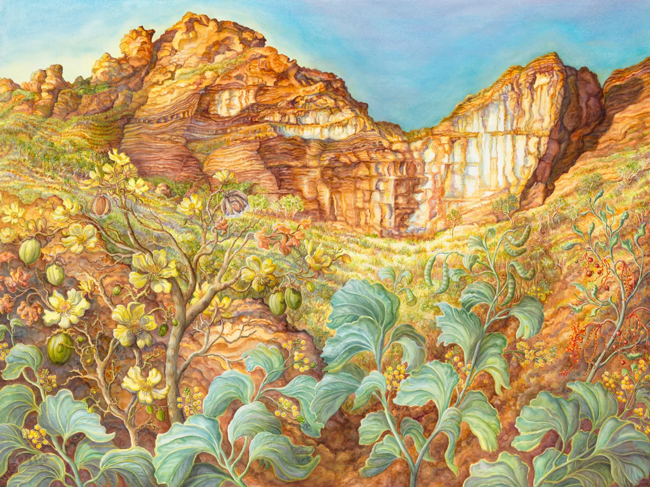 31: Elephant Ear Wattle and Kapok Trees at Keep River, Northern Territory