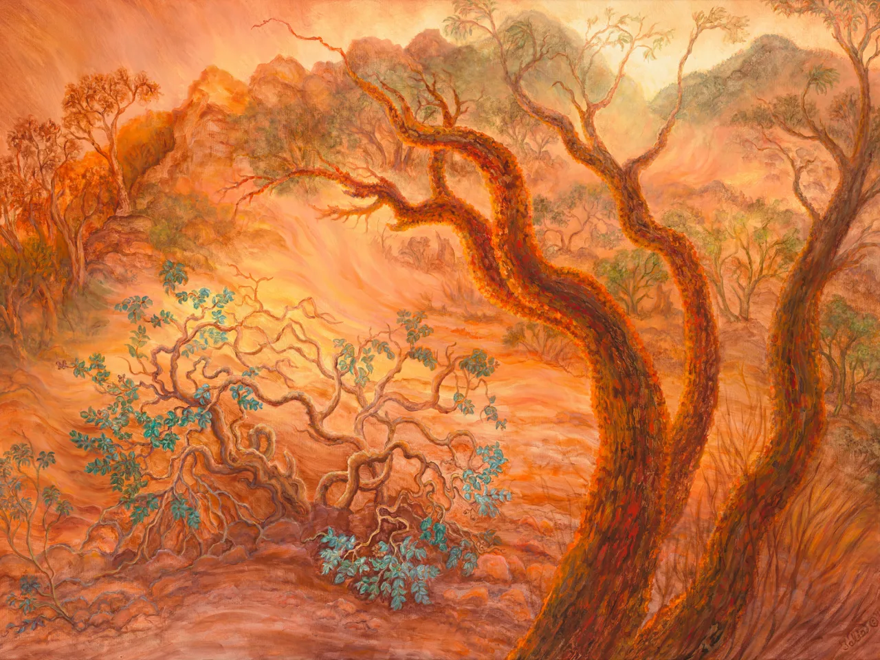 42: Dust Storm Over the Northern Flinders