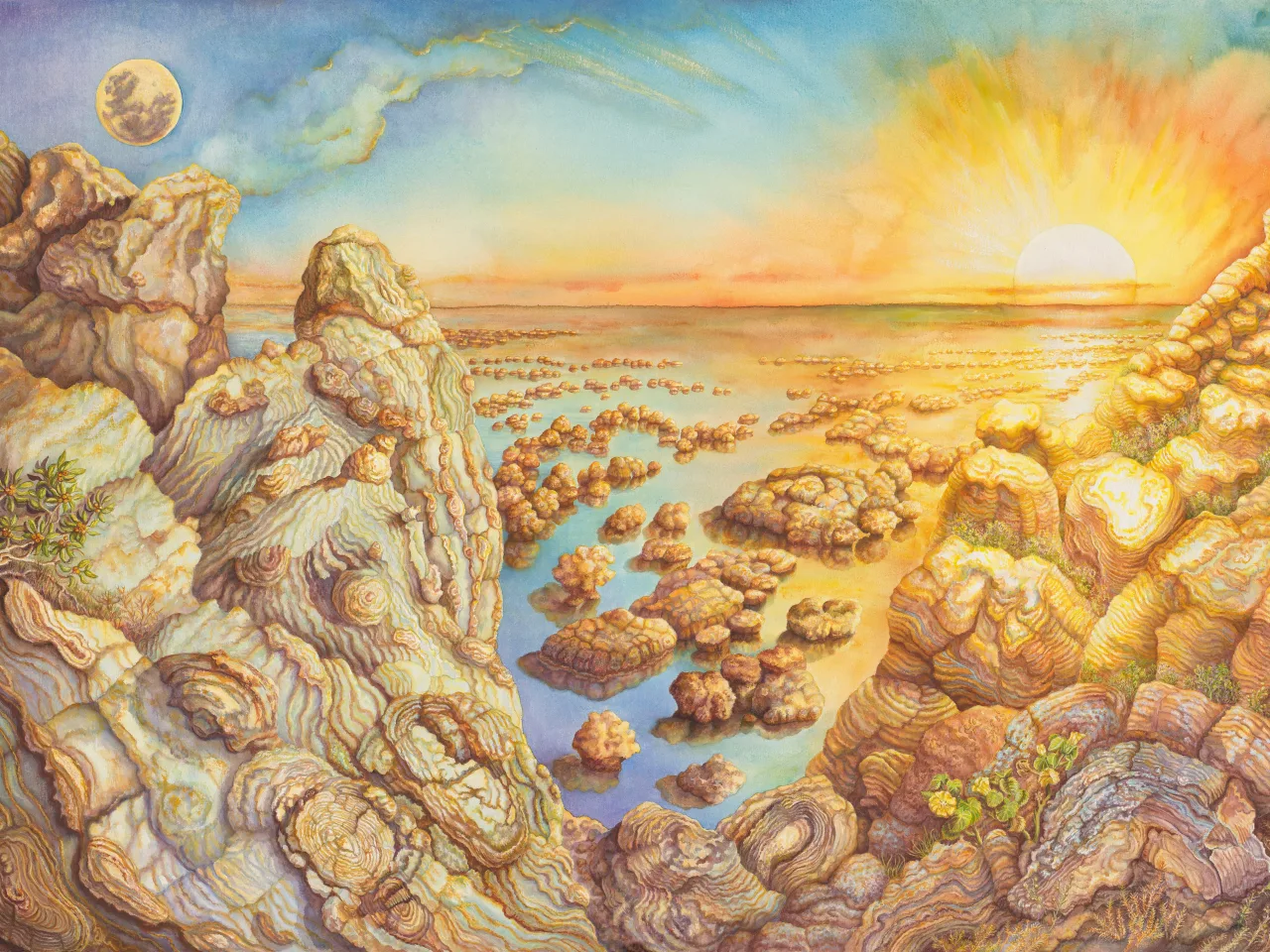 1: Stromatolite Genesis