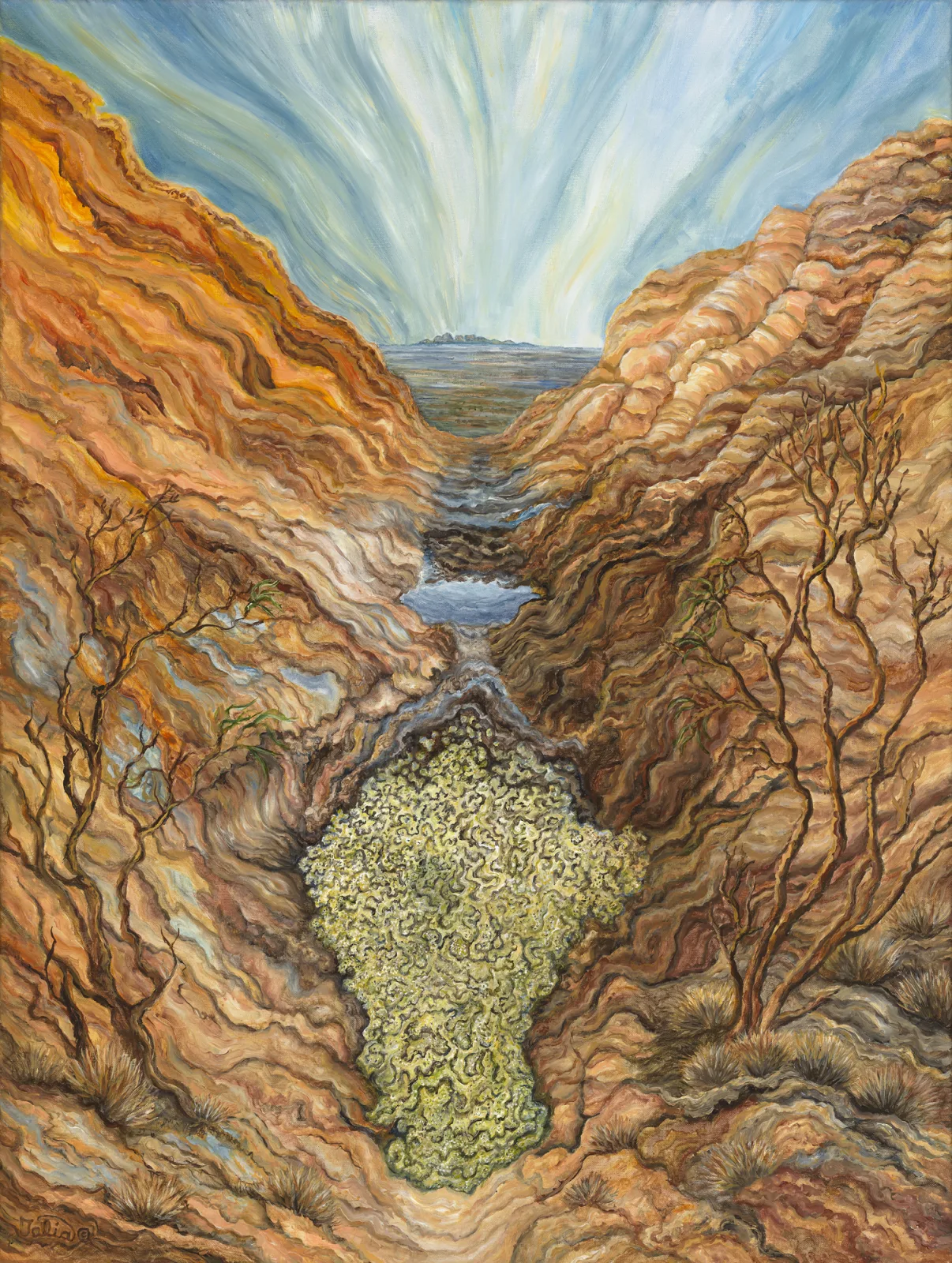 Artwork 5: After the Rains—on top of Uluru/Ayers Rock (Protista and Mulga)