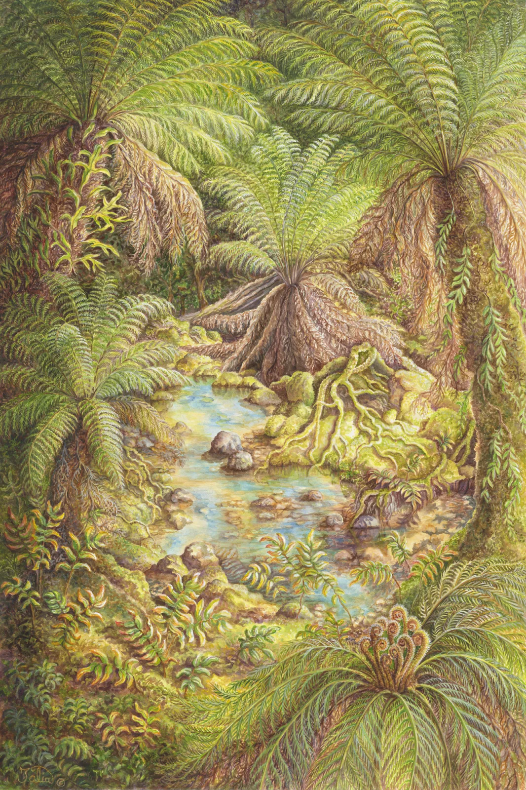 Artwork 6: In a Gondwanan Rainforest—Primordial Fern Grotto (Tasmania)