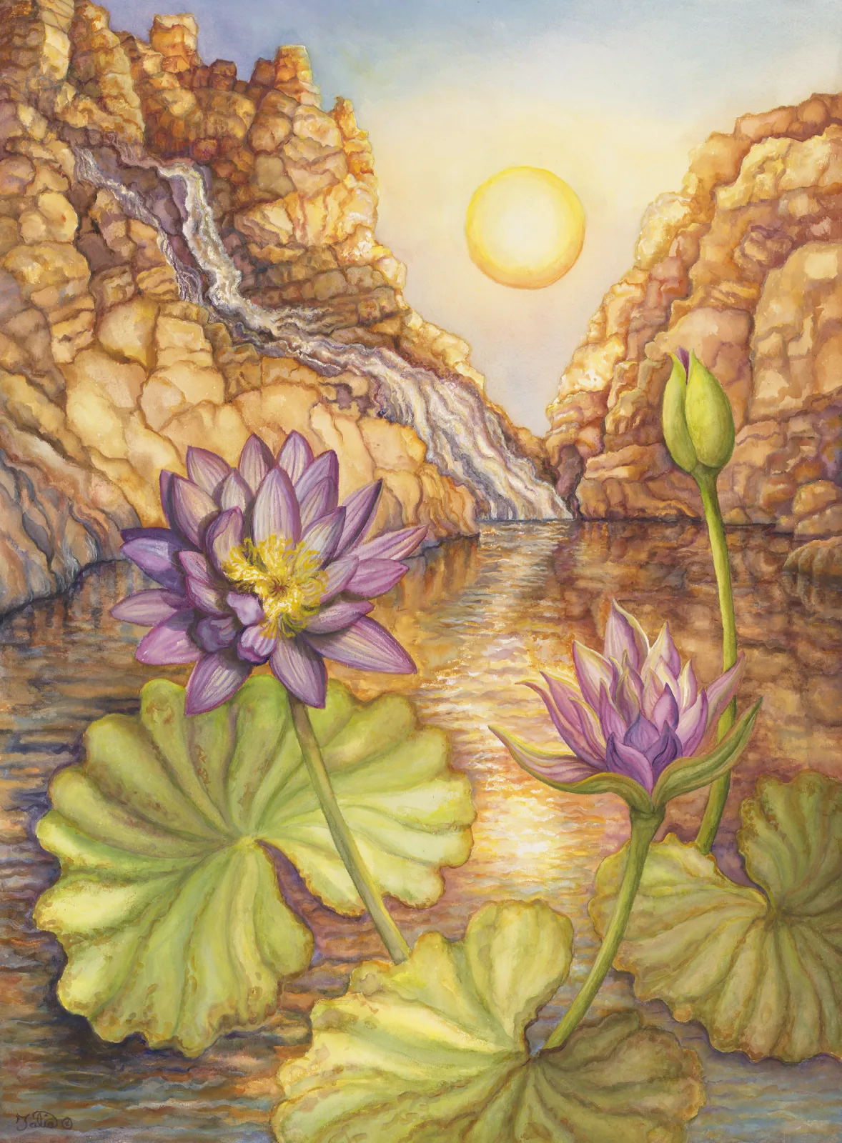 Artwork 19: Waterlily of the Setting Sun