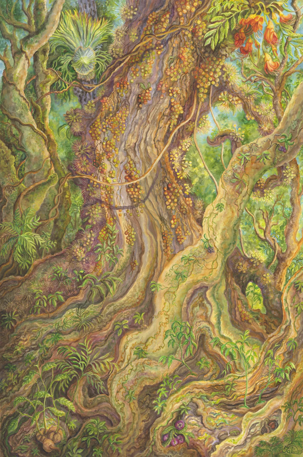 Artwork 21: Deep in a Wet Tropical Rainforest