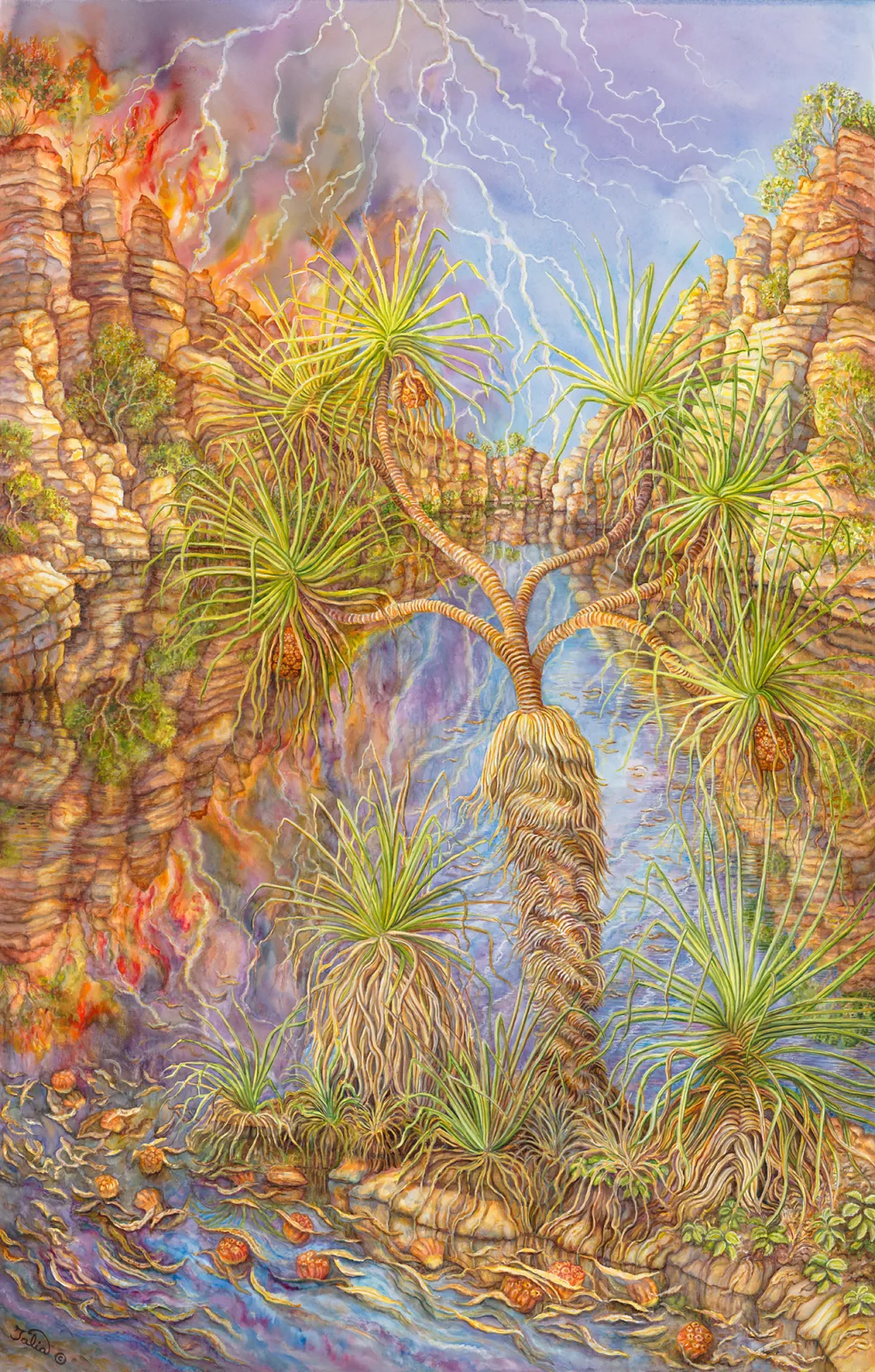 Artwork 26: The Wet Season Begins—Pandanus spiralis at Umbrawarra Gorge, Northern Territory