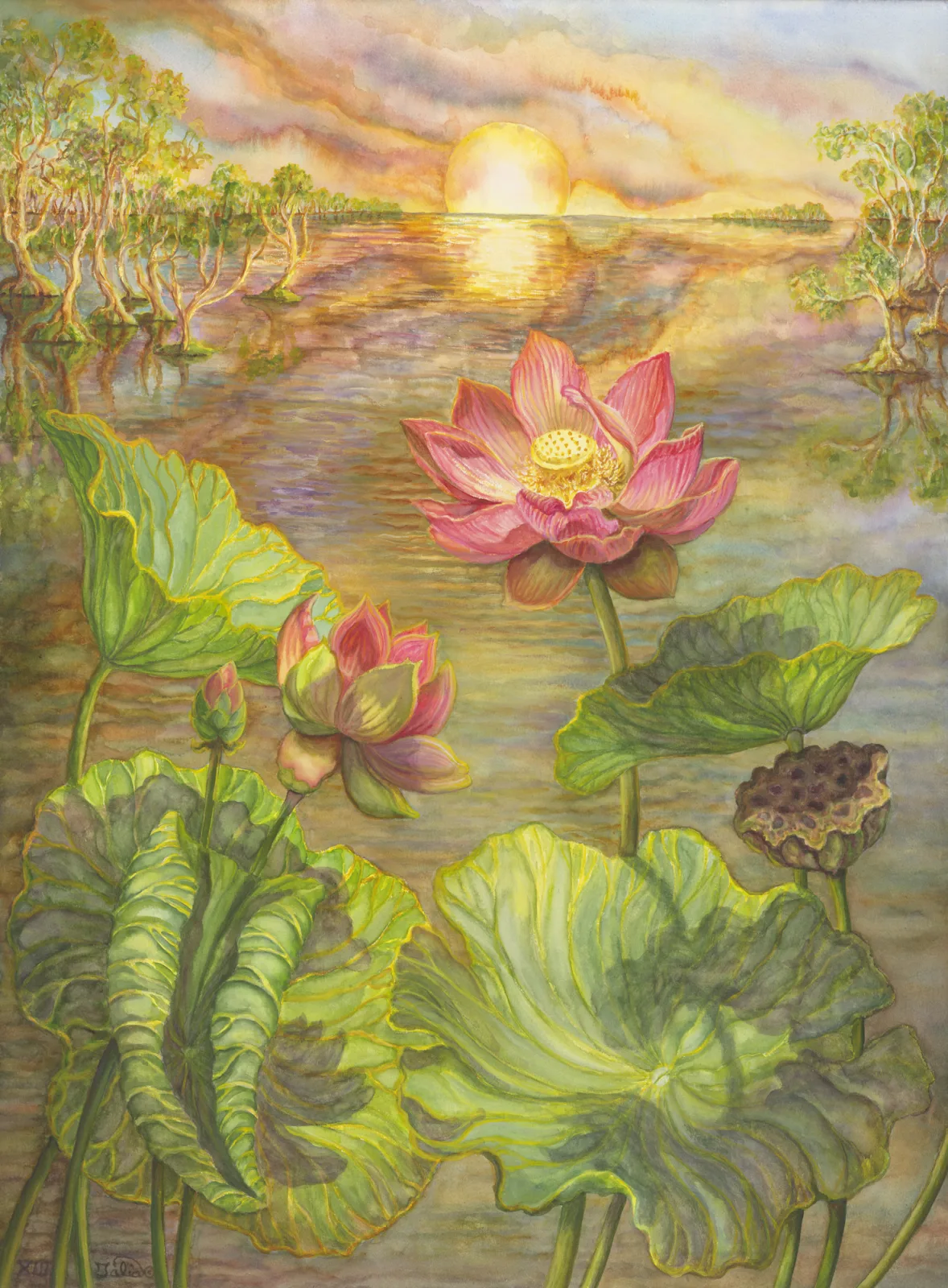 Artwork 27: The Dawn Flowering Sacred Lotus
