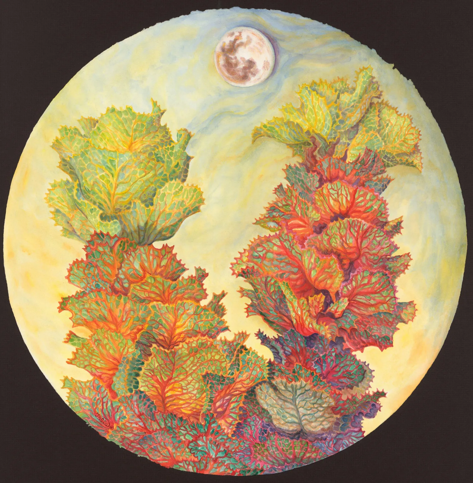 Artwork 34: Royal Hakea with Sunset Moon