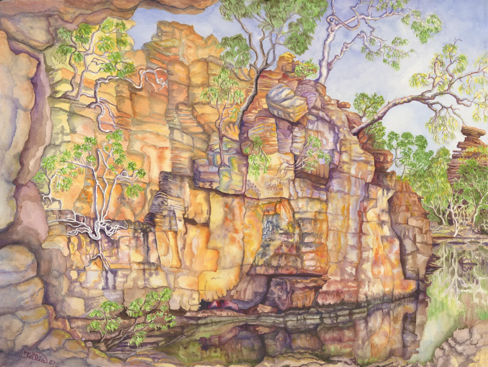 Artwork 45A: Pool of the Ancestors and the Hanging Fig Gardens