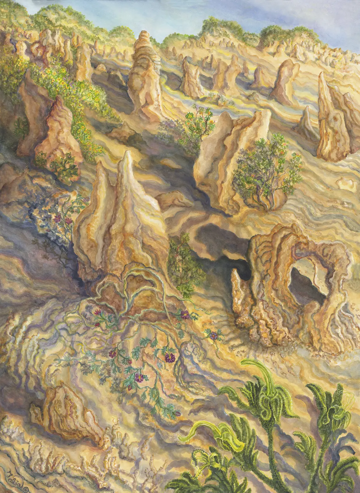 Artwork 49A: Black Kangaroo Paws at the Ancient Pinnacles, Nambung National Park, Western Australia