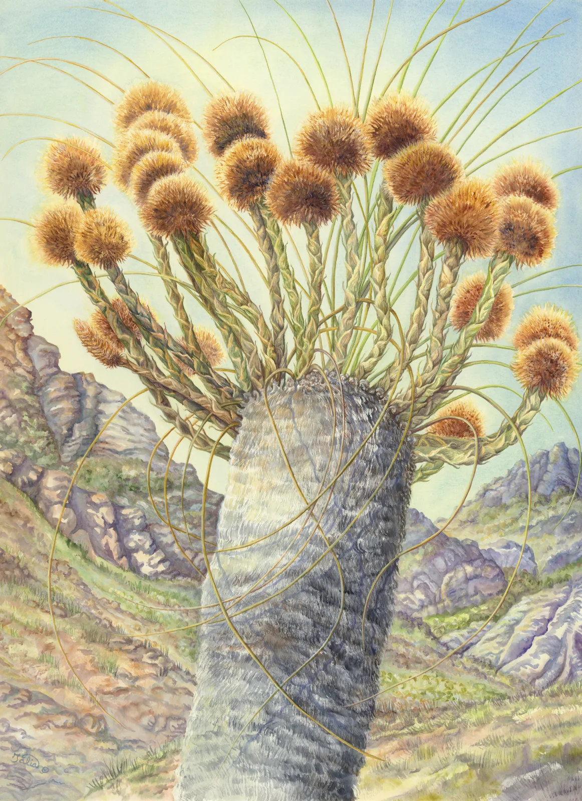 Artwork 50: Stirling Percussion