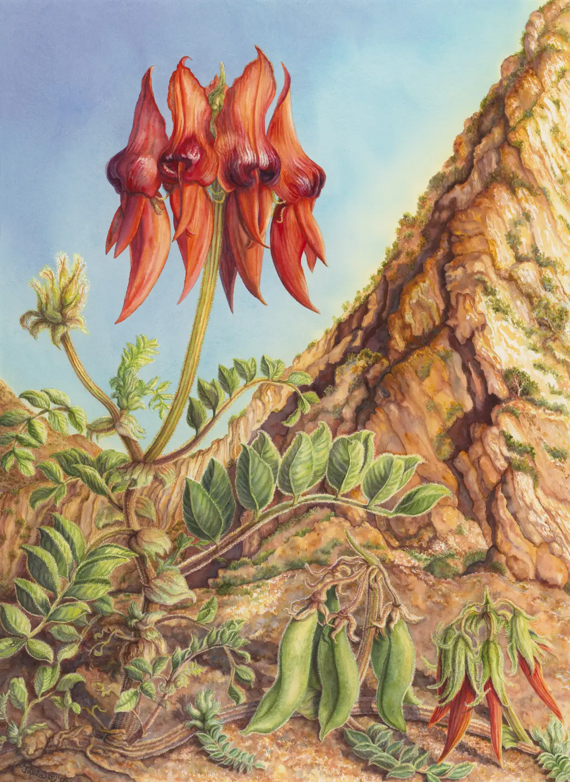 Artwork 64: Arkaroola Quintet