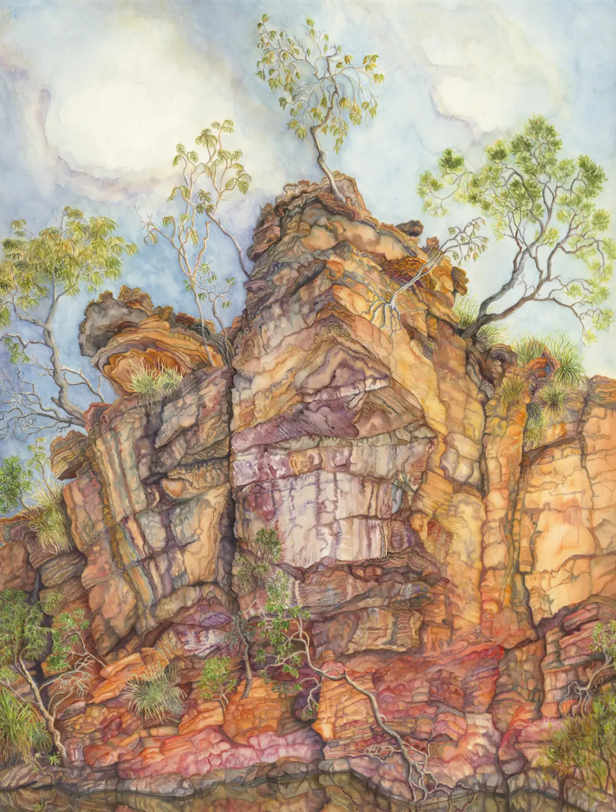 Artwork 66: The Aerial Figs of Gateway Pool