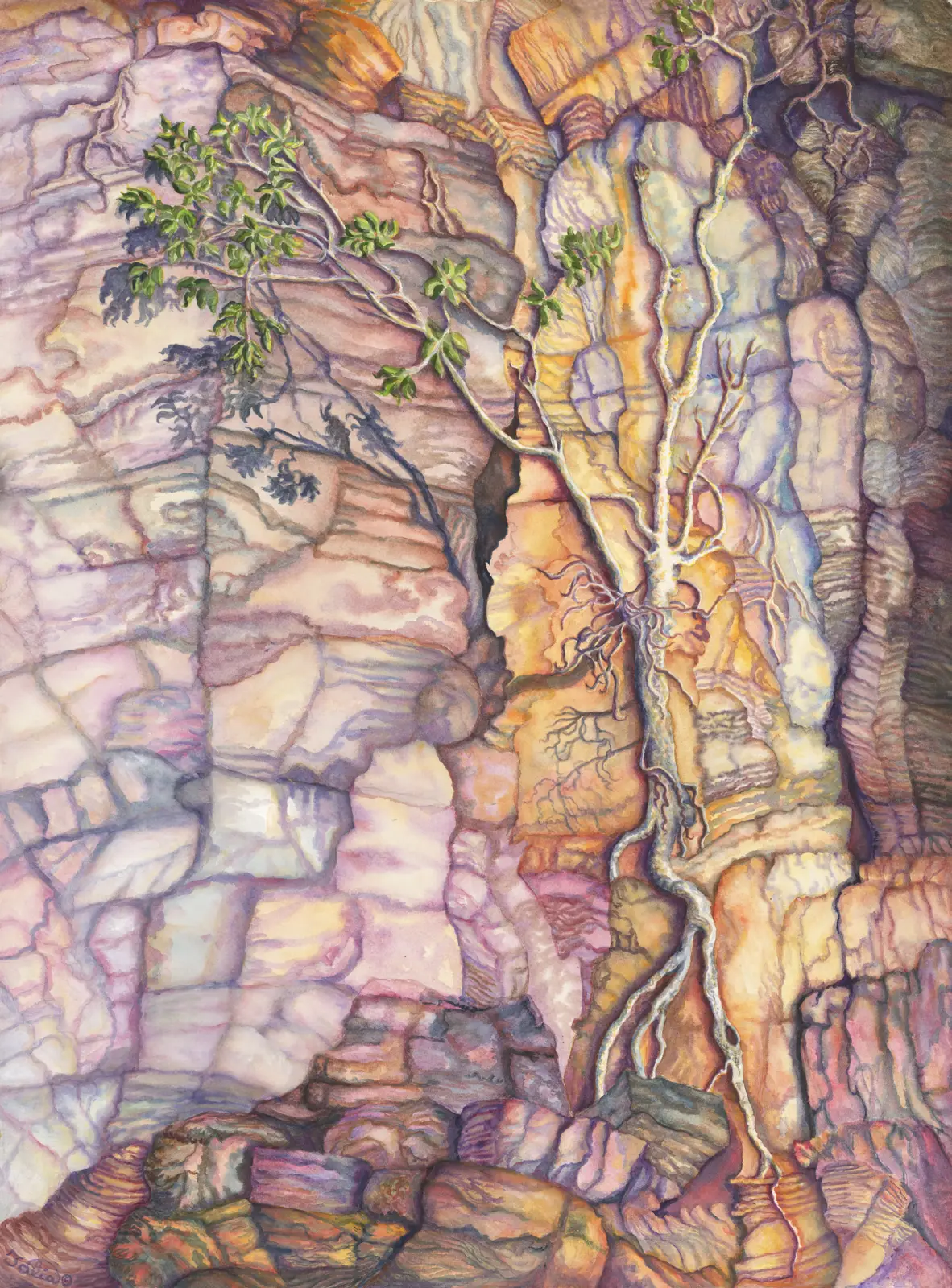 Artwork 67A: Fig Illusion II