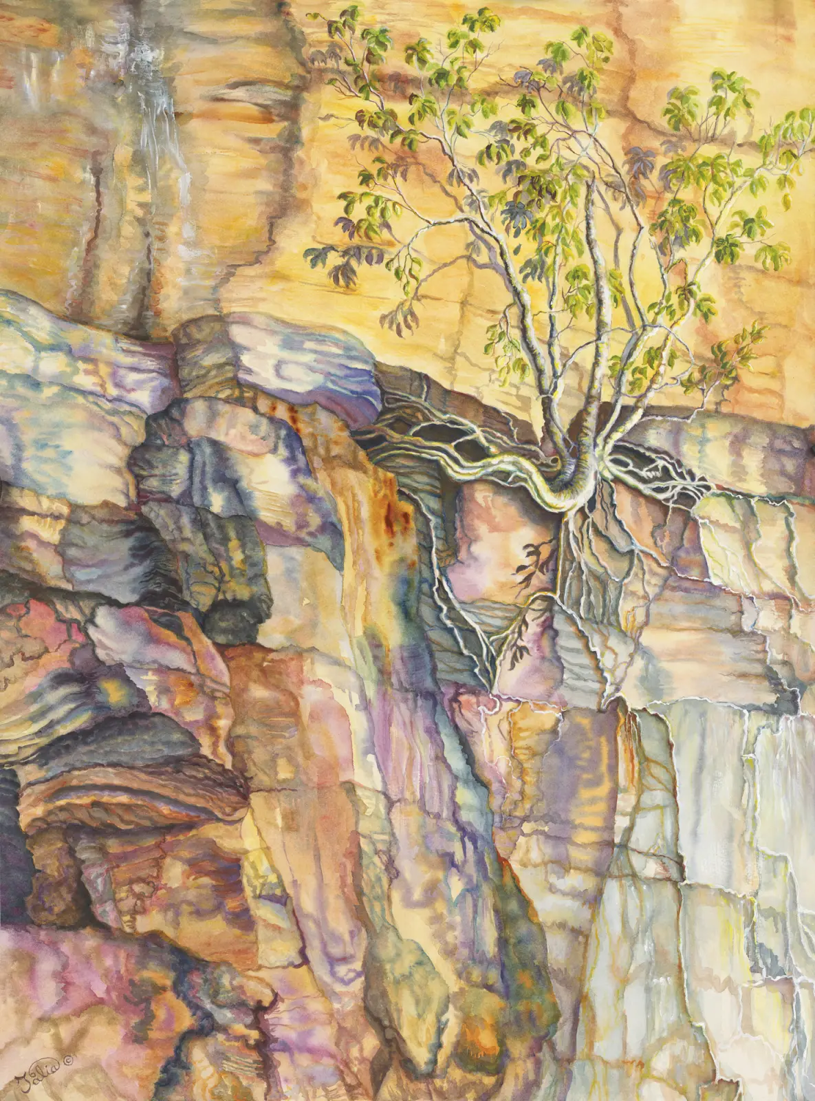 Artwork 67: Fig Illusion I