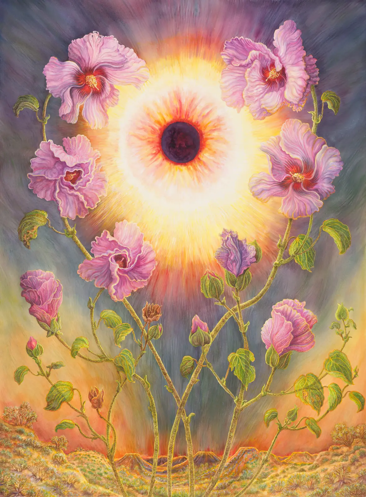 Artwork 63: Sturt's Desert Rose and the Solar Eclipse