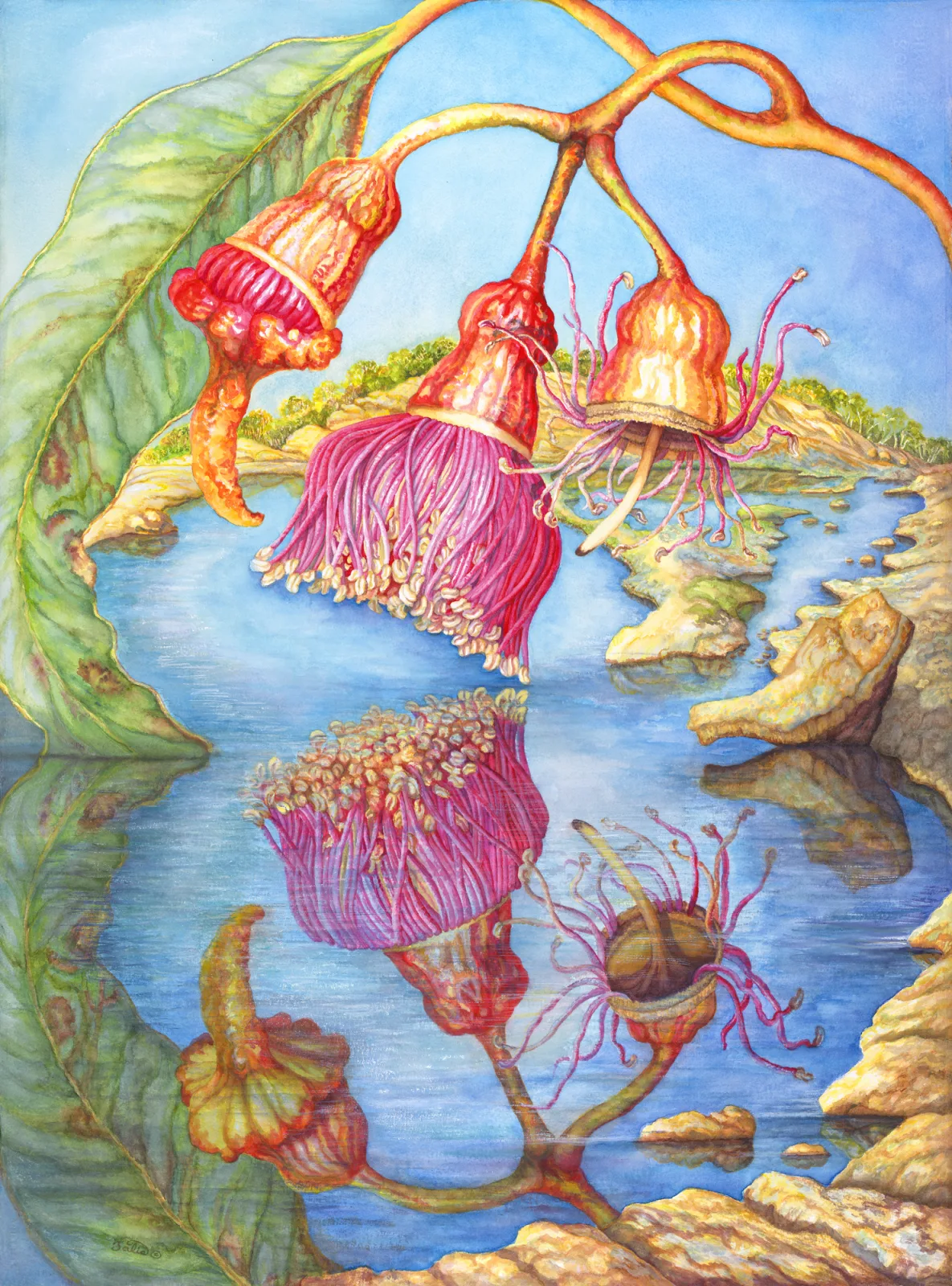 Artwork 47: Reflections in a Granite Pool, Goldfields, Western Australia