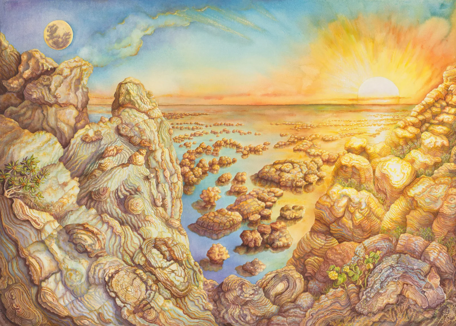 Artwork 1: Stromatolite Genesis