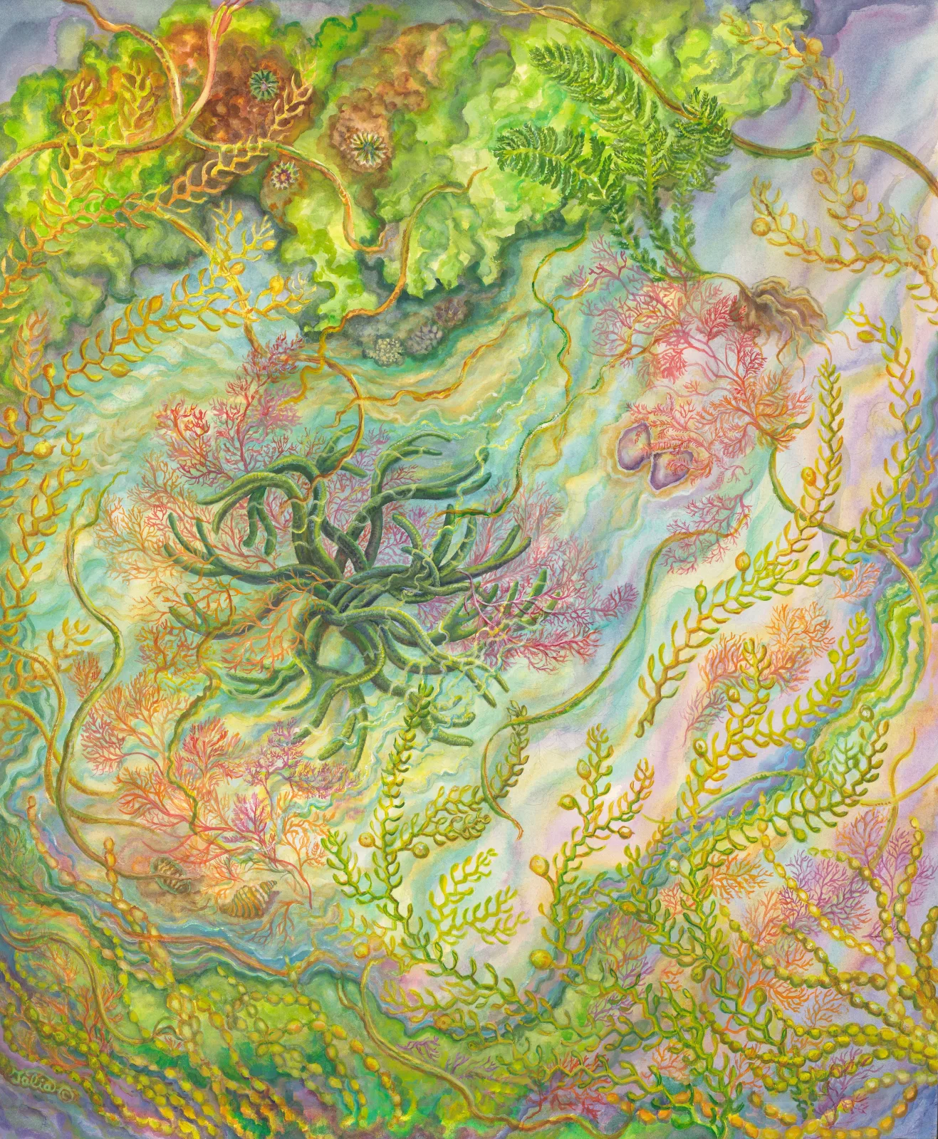 Artwork 2: Elegant Algae