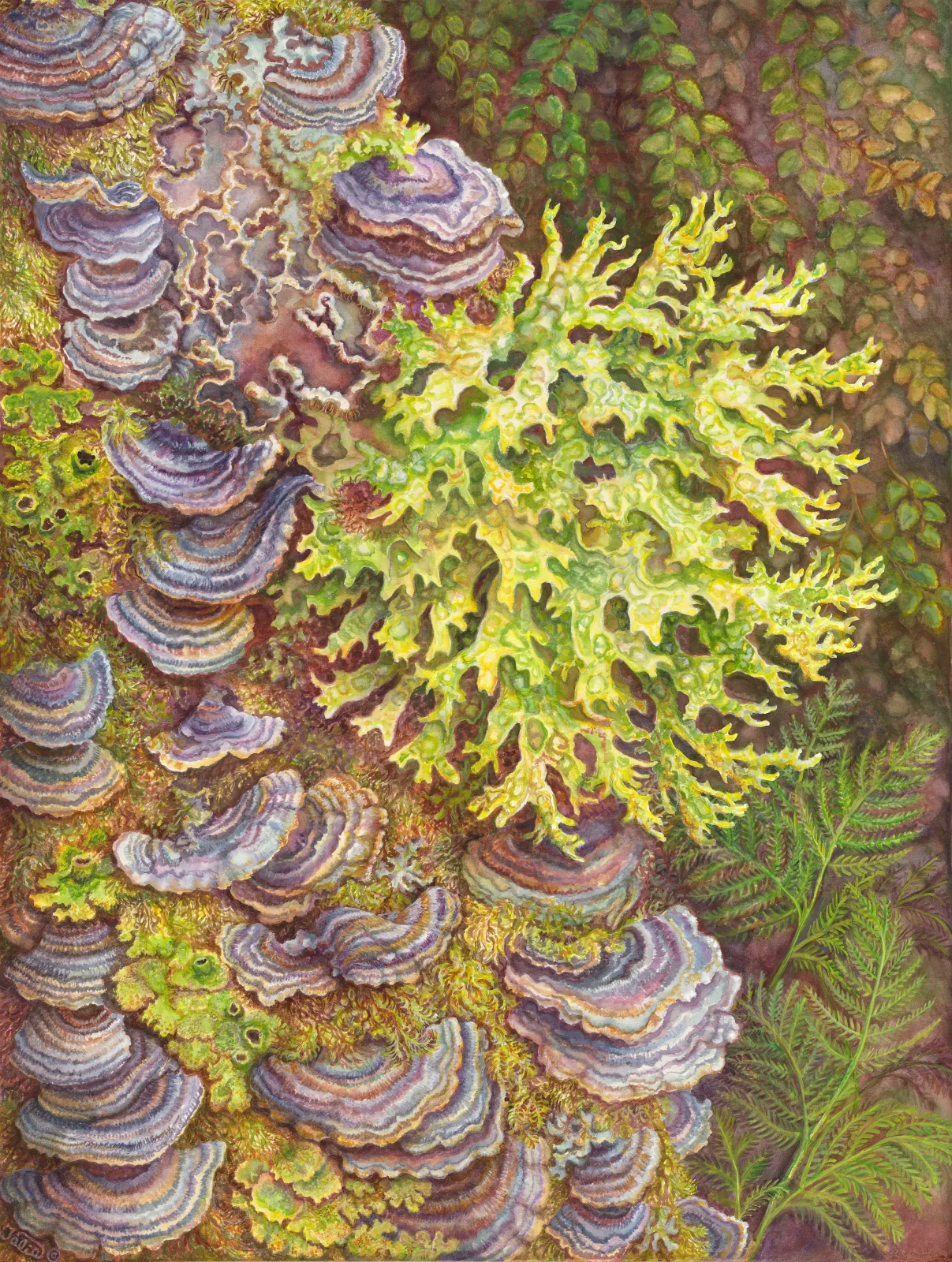 Artwork 3: Lyrical Lichens and Fluorescent Fungi