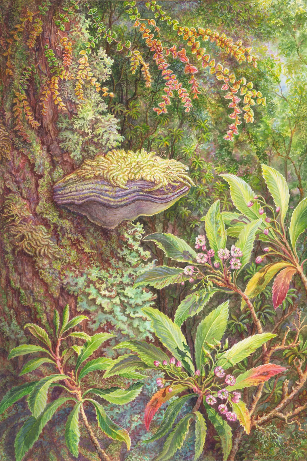 Artwork 4: Colourful Array of New Growth and Old in a Tasmanian Rainforest