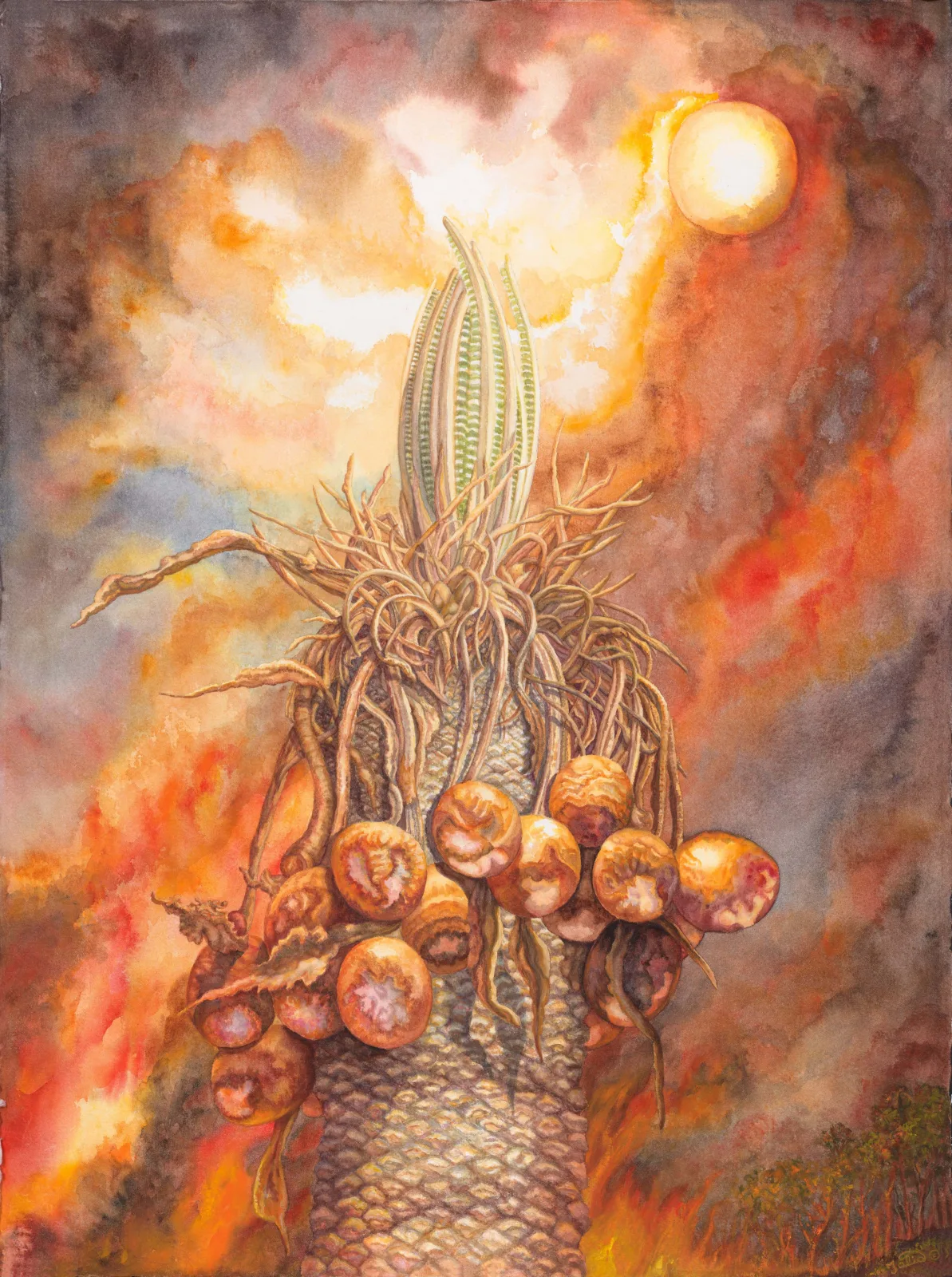 Artwork 7: Fire-Fern and the Bushfire Sun