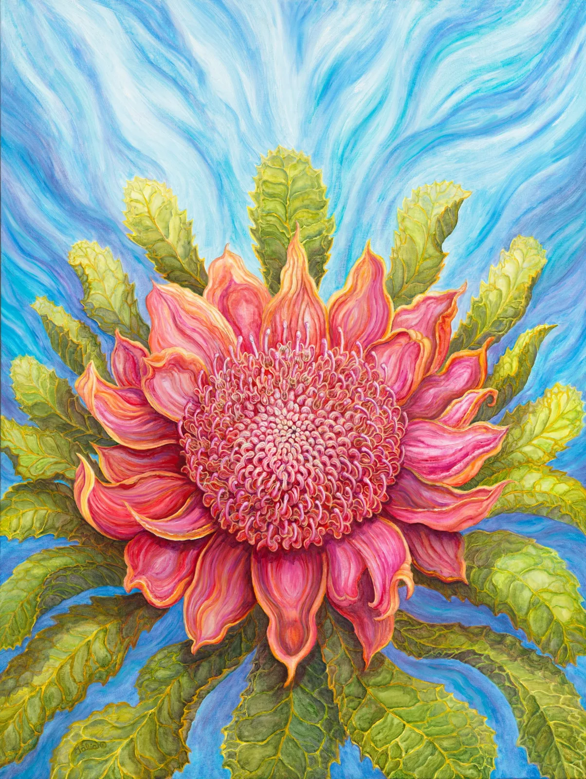 Artwork 20: Waratah Rising