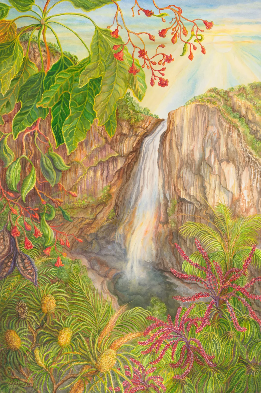 Artwork 22: Flame Trees at Wallaman Falls, Queensland