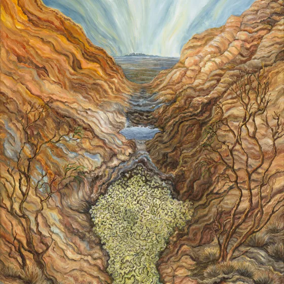 Artwork 5: After the Rains—on top of Uluru/Ayers Rock (Protista and Mulga)