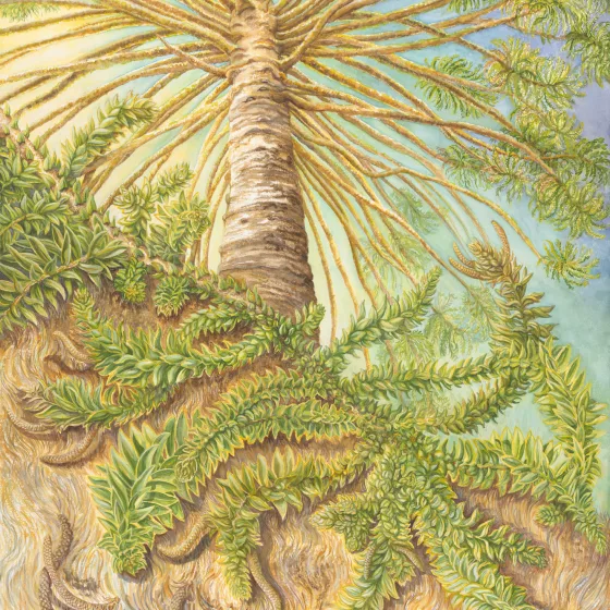 Artwork 15: Spirals, Spikes, and Crescent Cones