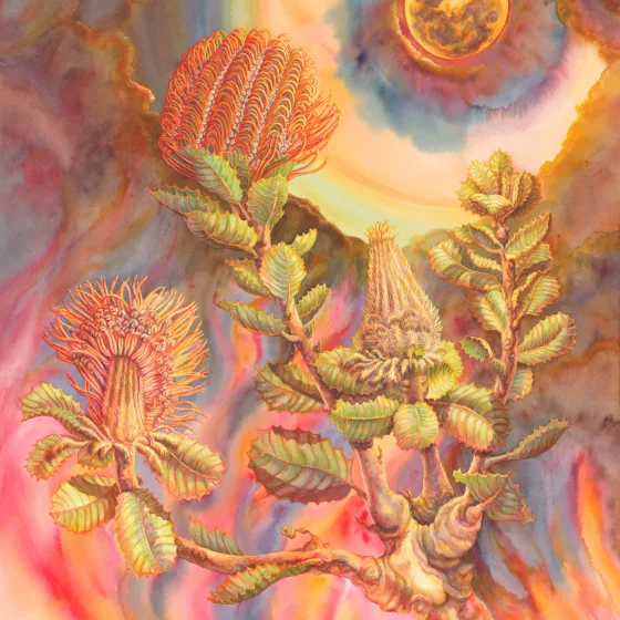 Artwork 29A: Scarlet Banksia with Bushfire Moon