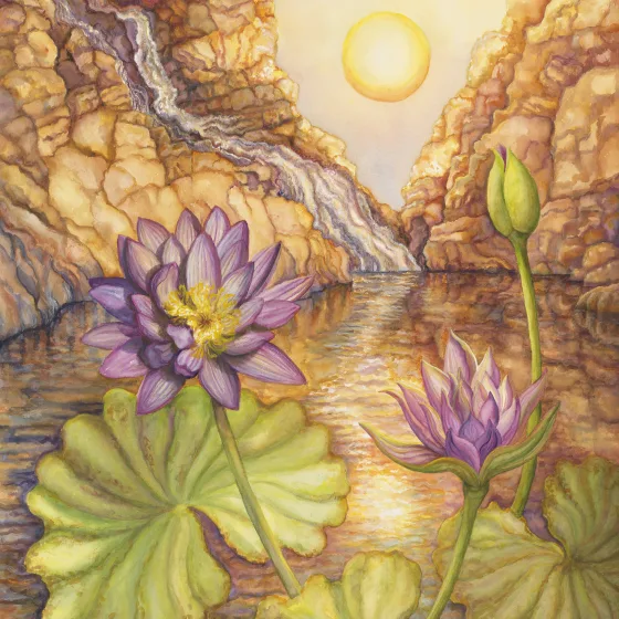 Artwork 19: Waterlily of the Setting Sun