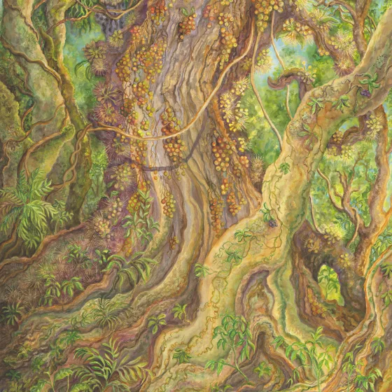 Artwork 21: Deep in a Wet Tropical Rainforest