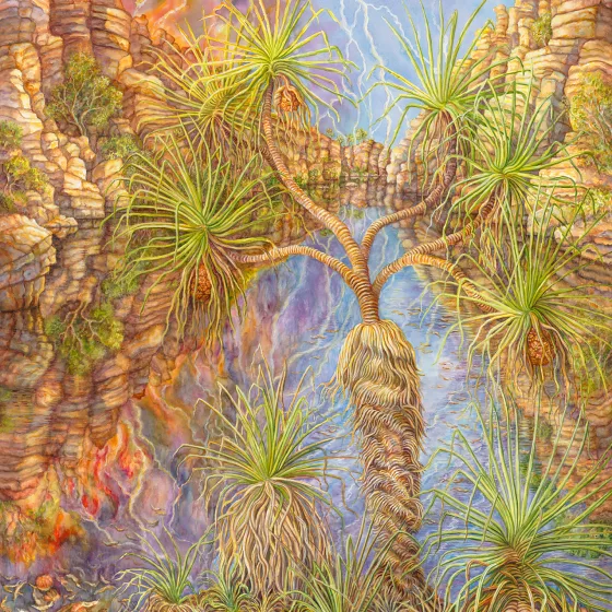 Artwork 26: The Wet Season Begins—Pandanus spiralis at Umbrawarra Gorge, Northern Territory