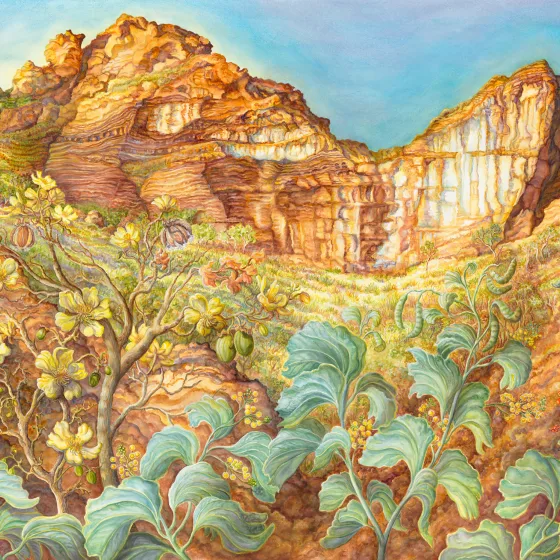 Artwork 31: Elephant Ear Wattle and Kapok Trees at Keep River, Northern Territory