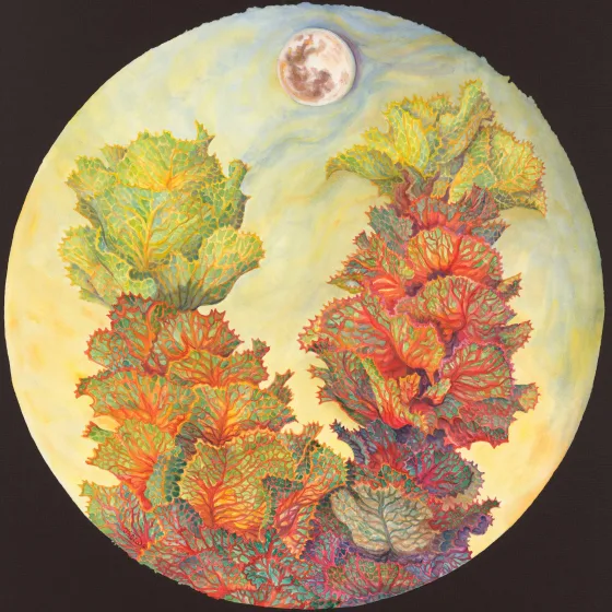 Artwork 34: Royal Hakea with Sunset Moon