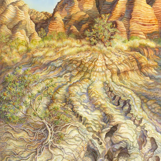 Artwork 32: Sunrise and Moonset Over the Bungle Bungles