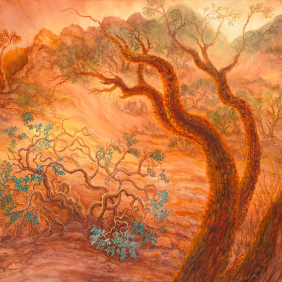 Artwork 42: Dust Storm Over the Northern Flinders