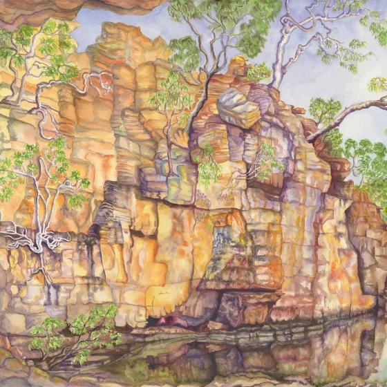 Artwork 45A: Pool of the Ancestors and the Hanging Fig Gardens