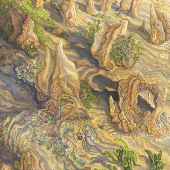 Artwork 49A: Black Kangaroo Paws at the Ancient Pinnacles, Nambung National Park, Western Australia