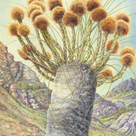 Artwork 50: Stirling Percussion