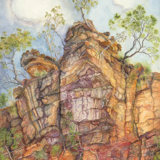 Artwork 66: The Aerial Figs of Gateway Pool