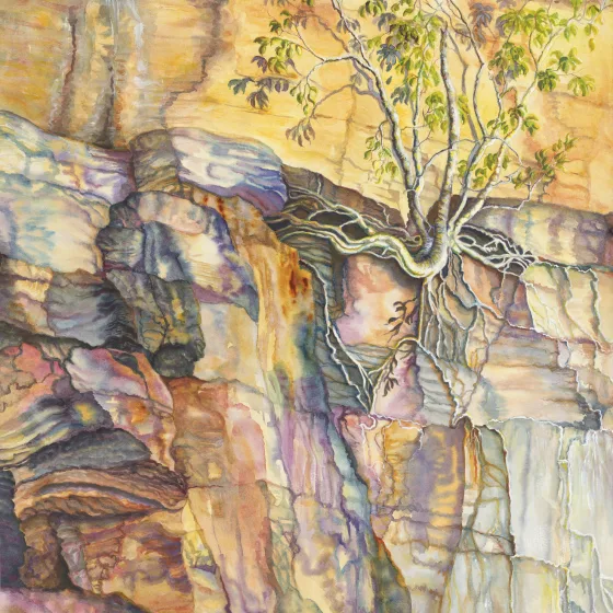 Artwork 67: Fig Illusion I