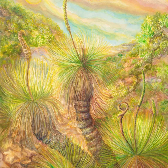 Artwork 51: Grass Trees and the Setting Sun Over the Flinders Ranges, South Australia