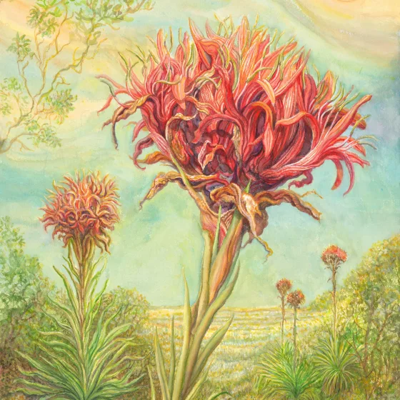 Artwork 52: Flame Lily and the Rising Sun Over the East Coast of Australia